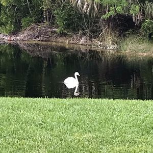 Meet your Posher, Peggy